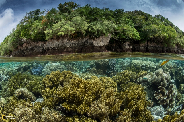 PRISTINE SEAS: PALAU National Geographic Pristine Seas. Photos by Enric Sala/National Geographic 
